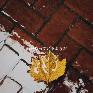 Entertaining Ambiance for Wonderful Wonderful