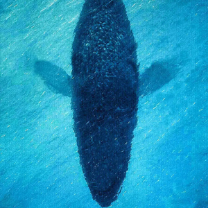 安和桥（间奏/自改版）