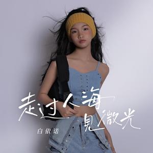 走过人海见微光 (伴奏)