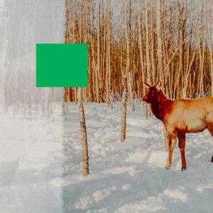 Green Screen (with Novo Amor)