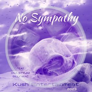 No Sympathy (Slowed) (feat. DNA Stylez & Billy Mac)