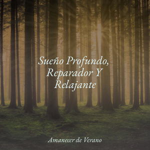 Hechizo de Soledad Brumosa