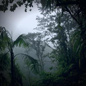 Withering Ease (Instrumental) (Instrumental)