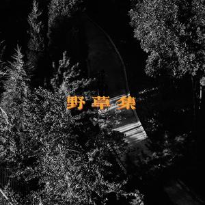 原来这世界从来都不是我的