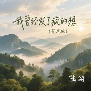 我曾经发了疯的想(男声版)