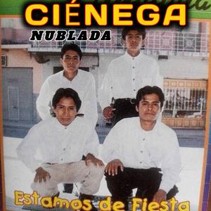 CHILENA EL MAIZAL. Grupo CIÉNEGA NUBLADA