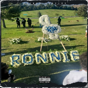 Ronnie (RIP Gonzoe)