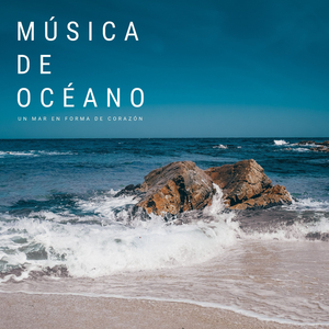 El Muelle De La Bahía