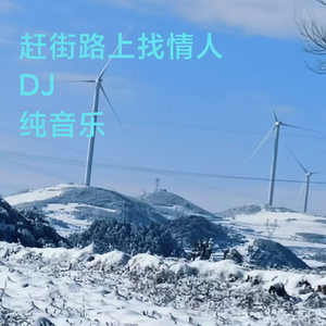 赶街路上找情人DJ