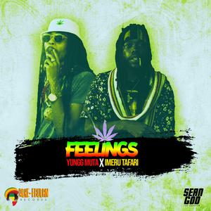 Feelings (feat. Imeru Tafari)