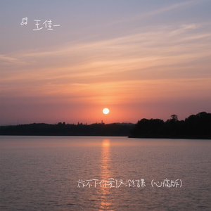 放不下你爱了又没结果