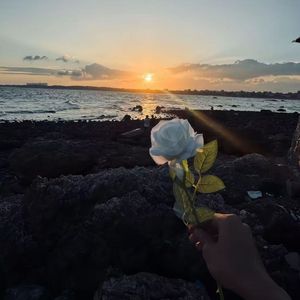 那年秋（prod by Lyoung）