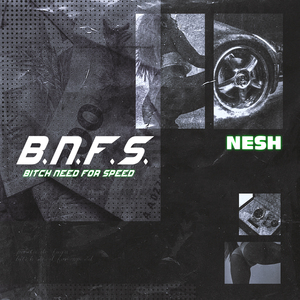 B. N. F. S.