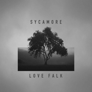 Sycamore