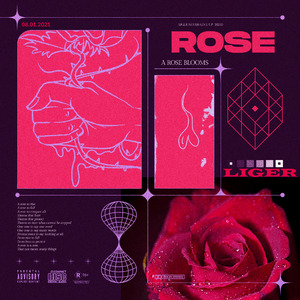 Rose 伴奏