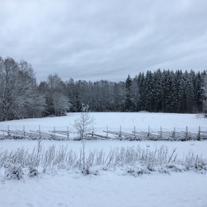 Trollen (2025 Remastered Version)