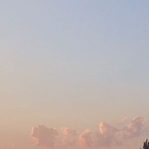 故事还长 女声版