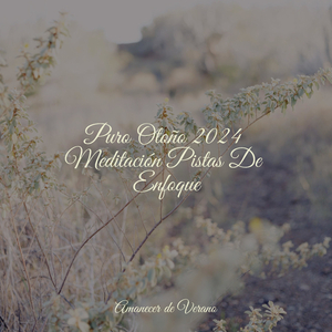 Danza Encantada de Medianoche