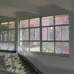 ¿qué sentirás por mí?