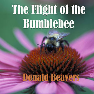 Tale of Tsar Saltan, Op. 57: "The Flight of the Bumblebee"