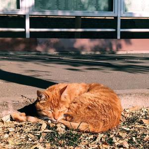 奕18（prod.Veezy）