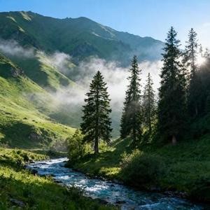 活着多好 (Cover 陈奕迅)