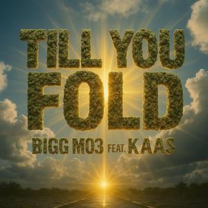Till You Fold (feat. Kaas)