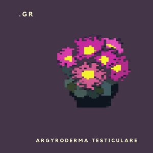 ARGYRODERMA TESTICULARE