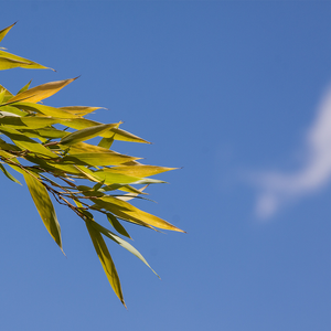 我在四季里遇见你