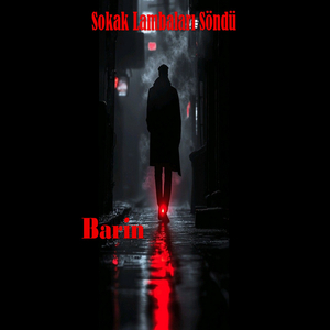 Ne Bağırdım Ne De Yıktım