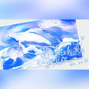 是什么让我遇见这样的你