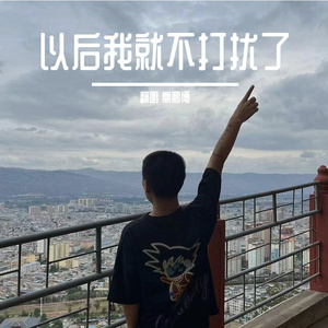 以后我就不打扰了