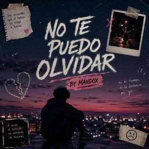 No Te Puedo Olvidar