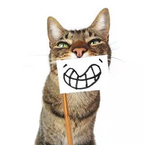 爱你破烂的衣裳-（SamCyun Remix）