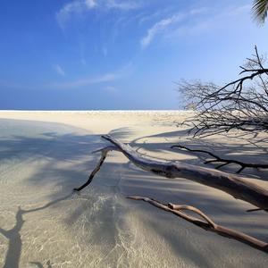 钢琴白噪音里的睡眠序曲