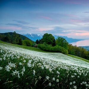 穿越千年寻一梦