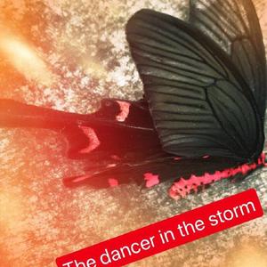 风暴中的舞者