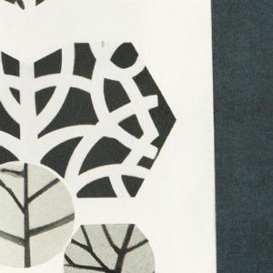 Where the Sweet Birds Sang