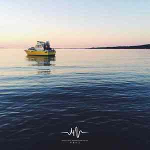 小布谷鸟 (沉浸式采耳音乐)