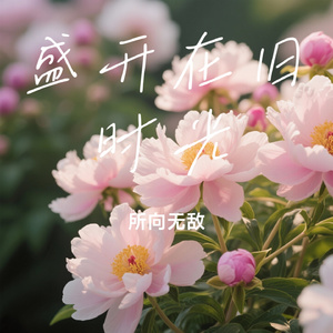 盛开在旧时光