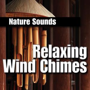 Tranquil Brass Wind Chimes