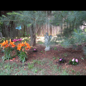 Speed of Lonely (feat. Jackie Lawson)