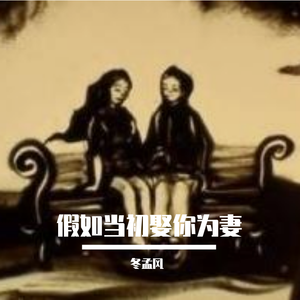 假如当初娶你为妻