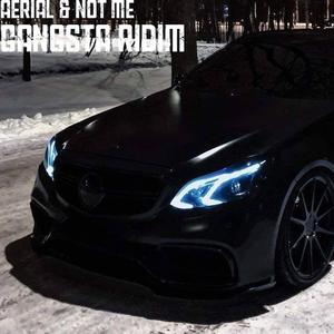 Gangsta Ridim (feat. Not ME)