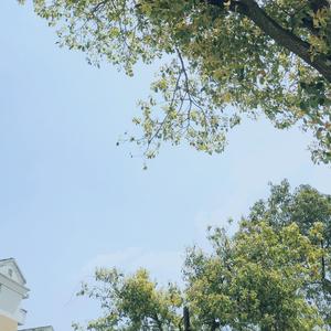 光棍节（民谣）