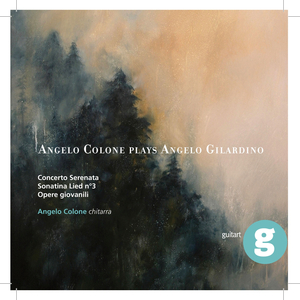 Concerto - serenata Per chit., cl. e archi:allegretto scherzoso