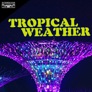 The Reggae Band (Club Edit)