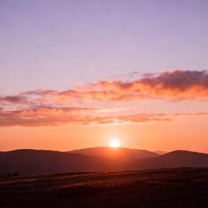 碰花碰草别碰情 (Cover 怪阿姨)