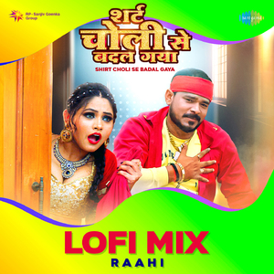 Shirt Choli Se Badal Gaya Lofi Mix
