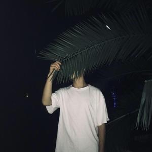 陪我看日出